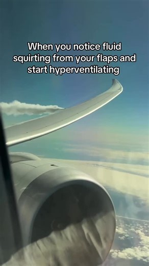 YorkshireAirlines2 on Instagram: "When you notice fluid squirting from your flaps and start hyperventilating #Airline #Chemtrais #FuelDumping #JetA1 #Squirter"