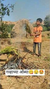 Green Gold Loading... गव्हाच्या ओंब्या 💚🌾