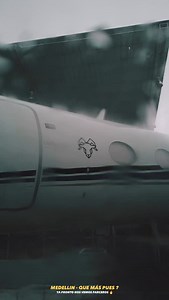 8.8K views · 668 reactions | Daddy Yankee on Reels | Facebook