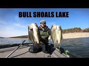 COLD Day and Big Bass on Bull Shoals Lake