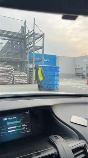 Incredible Walmart Order: Unbelievable Delivery Experience