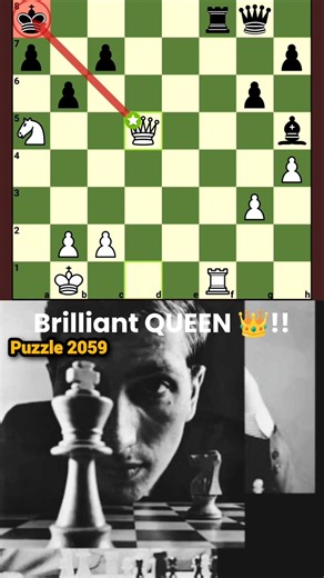 You have never seen a Queen play like this #chess #shorts #genius