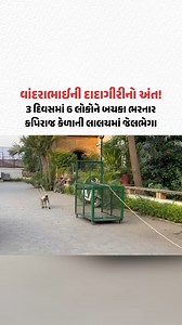419K views · 8.6K reactions | વાંદરાભાઈની દાદાગીરીનો અંત! વડોદરામાં 3 દિવસમાં 6 લોકોને બચકા ભરનાર કપિરાજ કેળાની લાલચમાં જેલભેગા #Gujarat #Vadodara #GujaratiNews #GujaratSamachar | Gujarat Samachar | Facebook