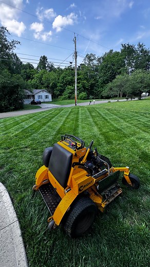 Someone fess up! | Caleb Storts