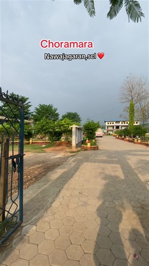 Choramara Nawajagaran: School Life Vlogs