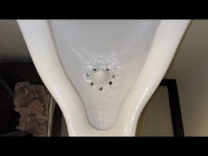 🚽 Bathroom Tour: Vintage Eljer Urinal and American Standard Toilet at a private office building