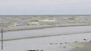 VDO Green dark sea water wave natural phenomenon. Seawater in Bang Saen, Chonburi Province, has turned green. Natural phenomenon. During rainy season called “Plankton bloom” or “whale poop phenomenon”