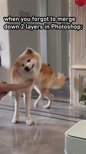 press Ctrl E to merge the two layers. #9gag #reels #dog #akitainu | 9GAG