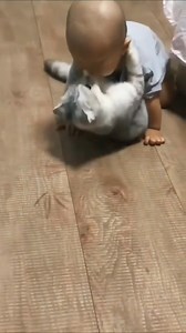 2K views · 90 reactions | The cat is very affectionate 殺 | Cute Pets | Facebook