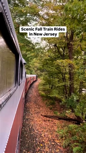 NJ Mom® ❤️ New Jersey Mom on Instagram: "🚂SAVE & SHARE🚂 for SCENIC TRAIN RIDES in New Jersey for the best fall leaf peeping 🍁 All aboard for the ultimate fall adventure! From pumpkin picking to stunning autumn leaves, these scenic train rides in NJ are the perfect way to enjoy the beautiful colors of Autumn. No driving, just pure fall magic! 🎃🍂 Comment ‘TRAIN’ for all the info! 🚂 Delaware River Railroad Excursions (Phillipsburg, NJ) The Great Pumpkin Train offers foliage views, pumpkin pic