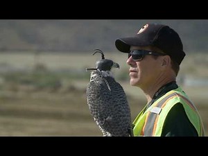 OC Landfills--The Inside Story