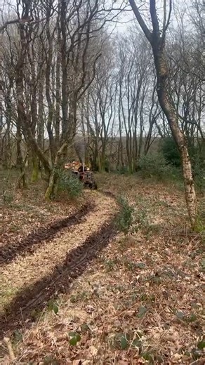 Travaux avec le moteur IH 533 et IH 343