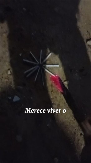 💥 SÓ QUEM SE ARRISCA MERECE VIVER O EXTRAORDINÁRIO! | SÃO JOÃO 2026