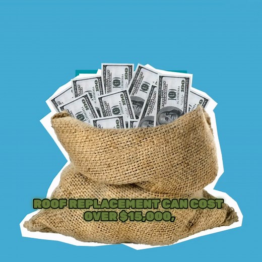 Have you heard about the roofing revolution that's wowing homeowners across the country? ⭐⭐⭐⭐⭐ Don’t replace your roof, Roof Maxx it! Our plant-based, eco-friendly solution protects your asphalt shingles, adding up to 15 years of life to your roof. 🛡️ With over 12,000 stellar reviews and up to 80% savings over traditional roof replacement. Don't wait! Find out if your home qualifies today! | Roof Maxx