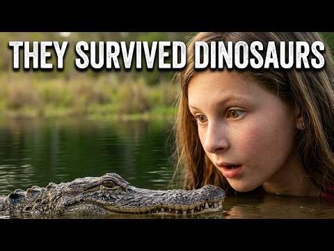 Alligators Survived the Dinosaur Extinction?! 🐊 Wild Gator Encounter in Florida | Ava's Wonder World