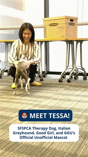 It’s Stress Awareness Day, and we’re celebrating by remembering one of our favorite Campus Week moments with Tessa — an SFSPCA therapy dog, good girl, and our official unofficial mascot! 🐶💛 She loved giving hello kisses. 13/10, would pet again. Tessa helped our students, faculty, and staff unwind, de-stress, and take a well-deserved break. Her calm presence, gentle energy, and wagging tail reminded us all how important it is to pause, breathe, and care for our mental wellbeing. At Golden Gate 
