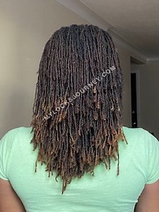 Types of dreads: The truth about microlocs - My Locks Journey