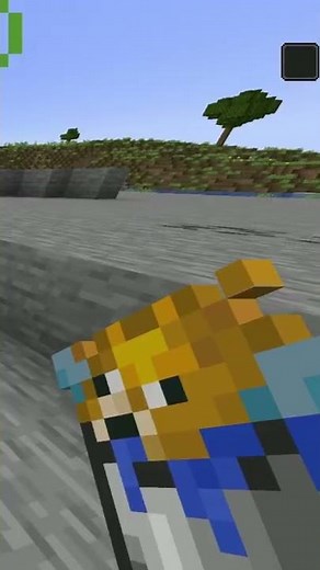 How To Use A Pufferfish In Minecraft