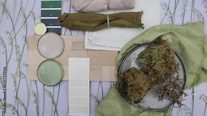 summer colour palette mood board for interior design and decoration