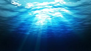 14K views · 165 reactions | Watch to the end to see what Guesty and Barney caught in this cracking clip. Great technique, screaming drag action and an awesome capture! | PENN Fishing | Facebook