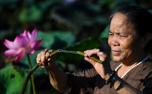 Watch | Lotus silk: a luxury fabric out of lotus stem