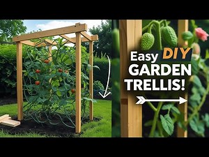 How to Build a Garden Trellis (DIY)