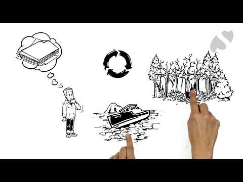 Stone Paper brief explanation