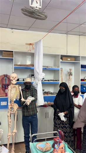 Engaging Biology Lessons with Object-Based Learning