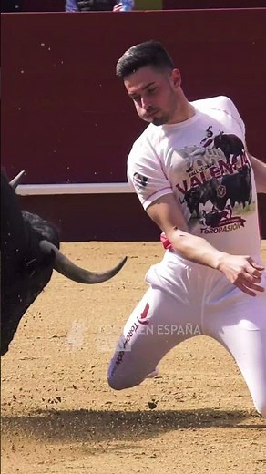 Estos recortadores auténticos especialistas