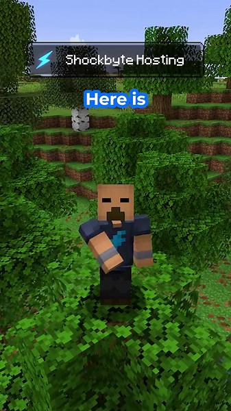 Explore Minecraft 1.21.5: Spring to Life Update Features