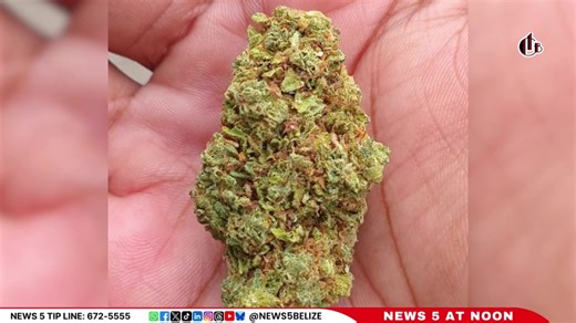 NEWS 5 @ NOON | News 5 Live