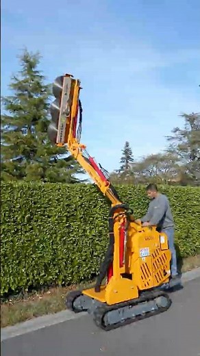 Unleash Your Garden's Potential with this Self-Propelled Hedger: Effortless Pruning Secrets!