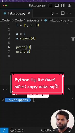 Python වල List වගේ data structures හරියට copy කරන්නේ මෙන්න මෙහෙමයි. මේක හරියට දන්නේ නැත්නම් එන errors හොයා ගන්නවත් බැරි වෙයි! #fyp #foryoupage #foryou #python #sinhala #it #ict #al #srilanka #education #free #course #tips #list #copy #copying #tiktok #tiktoksrilanka #code #coding #python3