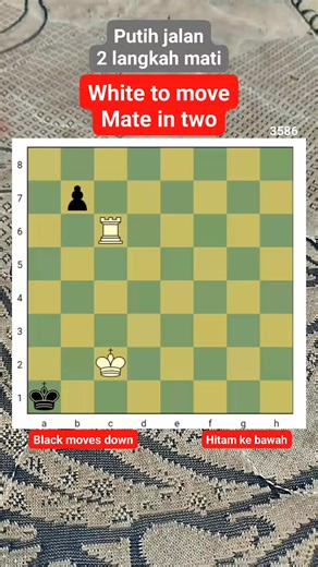 3.4K views · 16 reactions | #fyp #chesspuzzle #problemcatur #chesspuzzle #ajedrez #chessmatein2 | Chess Puzzle | Facebook