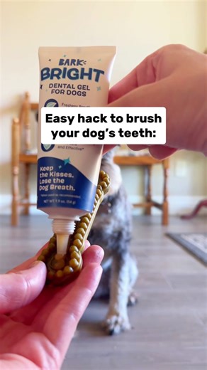 Transform Your Dog's Dental Health with the Bright Dental Kit