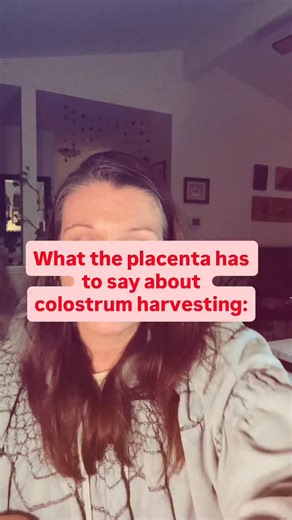 The placenta says, “Extract all you’d like while pregnant, but I’m not substantially increasing the milk supply until after the baby is born.”🤷🏻‍♀️ No one has to express colostrum while they are pregnant. If you do, set your expectations to “drops,” and sometimes “nothing,” so that you can avoid unnecessary disappointment and anxiety.🤍 #colostrum #colostrumharvesting #breastfeedingmyths #pregnant #expectantmum | The Bottle and Boob