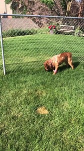 118K views · 3.9K reactions | LOOK WHO UP!!! Today Alex took a step...