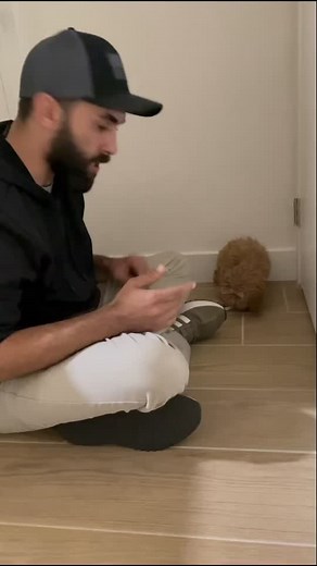 Effective Techniques for Counter Conditioning Resource Guarding in Young Dogs