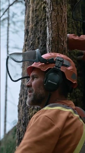 Epic Tree Drop | The Last Woodsmen | Discovery