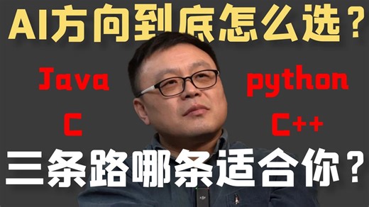 AI除了这三条路就只剩一条死路！看看AI方向到底怎么选？Java、C\C  、python.....