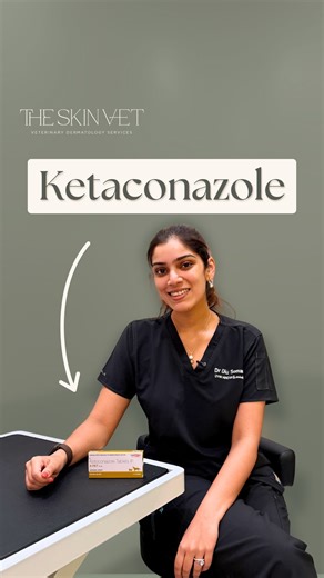 The Skin Vet by Dr. Diu Somani on Instagram: "Is your dog or cat scratching, flaking, or smelling more than usual? 🐾 Ketoconazole is an antifungal that stops fungal growth, treats yeast dermatitis and ringworm, and helps restore the skin barrier. Watch the Reel to see how it works and book a consultation with The SkinVet if your pet shows these signs! #veterinarydermatology #vetmed #veterinarymedicine #veterinarian #expertcare #vet #vetblogger #vetlife #dermatology #skinhealth #skinvet #onlinec