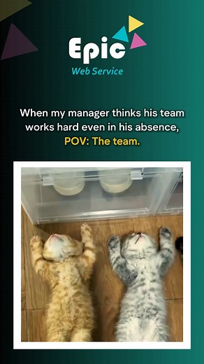 Relaxing in the manager's absence hit different  . . . . . Office jokes, memes, funny memes, funny videos, office life, employee life, corporate life, funny, digital marketing, web designing, web services, manager jokes, relatable memes, #designer #memeoftheday #funnymeme #memes #EpicWebService #funnypost #officework #officelife #officejokes #memesdaily #memes2024 #managerproblems #managerjoke | Epic Web Service | Facebook