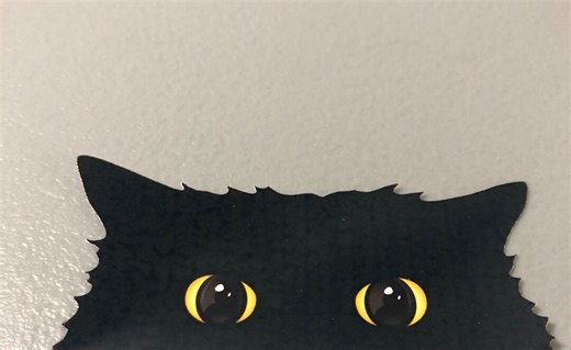 Black Cat Sticker, Cat Decal, Vinyl Sticker, Cat Eyes, Water Bottle Sticker, Laptop Decal, Phone Case Sticker, Kindle Decal, Funny Cat - Etsy