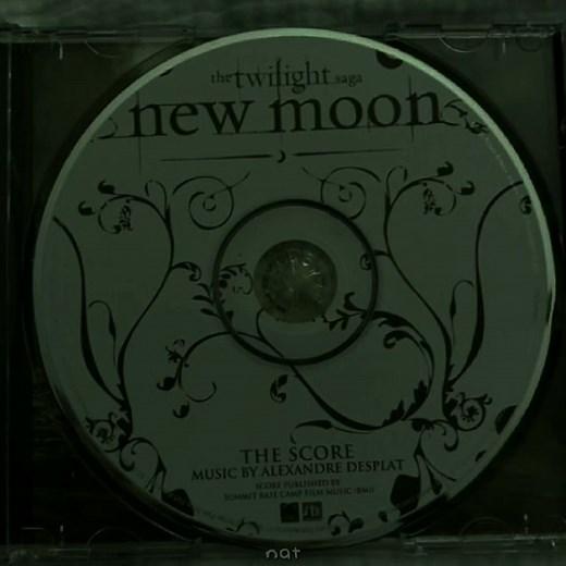 roslyn - bon iver #boniver #roslyn #twilight #twilightsaga #crepusculo #fy #fyp #foryou #edwardcullen #bellaswan #music #tradução #roslynboniver #newmoon #crepusculoedit @tiktok