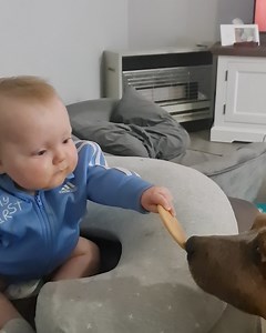 1.4M views · 10K reactions | Little lad gives dog biscuit then cries when he realises he has none left for him  | Lessons Learned In Life | Facebook
