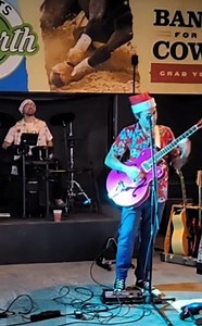 Guitar Solo Cover: Vampire Weekend - Cousins #guitar #livemusic #music #rock #concert #solo #cover