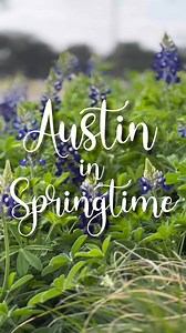 2.6K views · 27 reactions | Happy first day of spring, Austin! Smell the flowers  Soak in the sunshine  Take a lake day  And enjoy the cool breezes ️ | City of Austin Government | Facebook