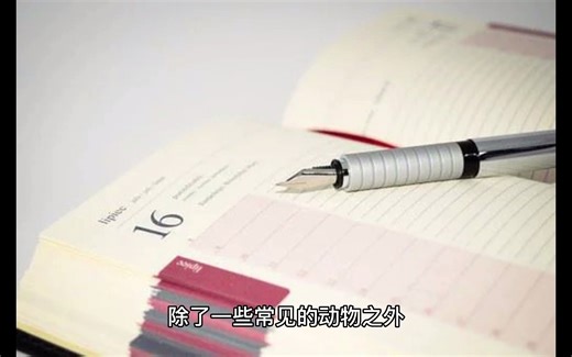 如何拍照识别动物？帮你分分钟搞定