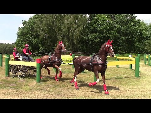 National Carriage Driving Trials Sandringham 2022
