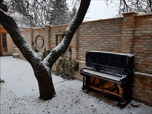 12K views · 733 reactions | Milí fanúšikovia , dovoľte mi poďakovať Vám za potlesk na koncertoch a turné , za to, že počúvate moje piesne a za pekné a hlavne pozitívne komenty na tejto stránke...Tak sa nám žije spolu lepšie a s úsmevom :) Želám Vám pokojné Vianoce Váš Peter NAGY | PETER NAGY MUSIC | Facebook